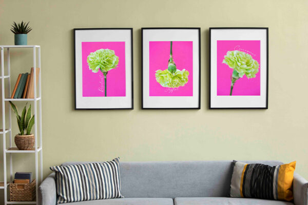 colorful prints for living room pink carnations