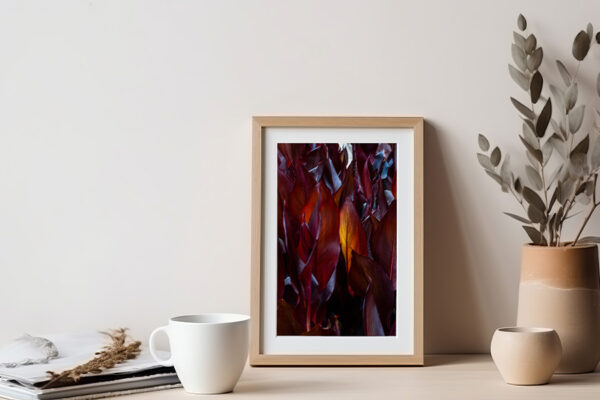 giclee nature fine art phography prints