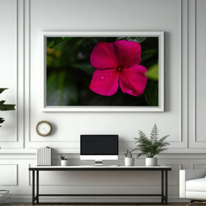 photography art prints flower