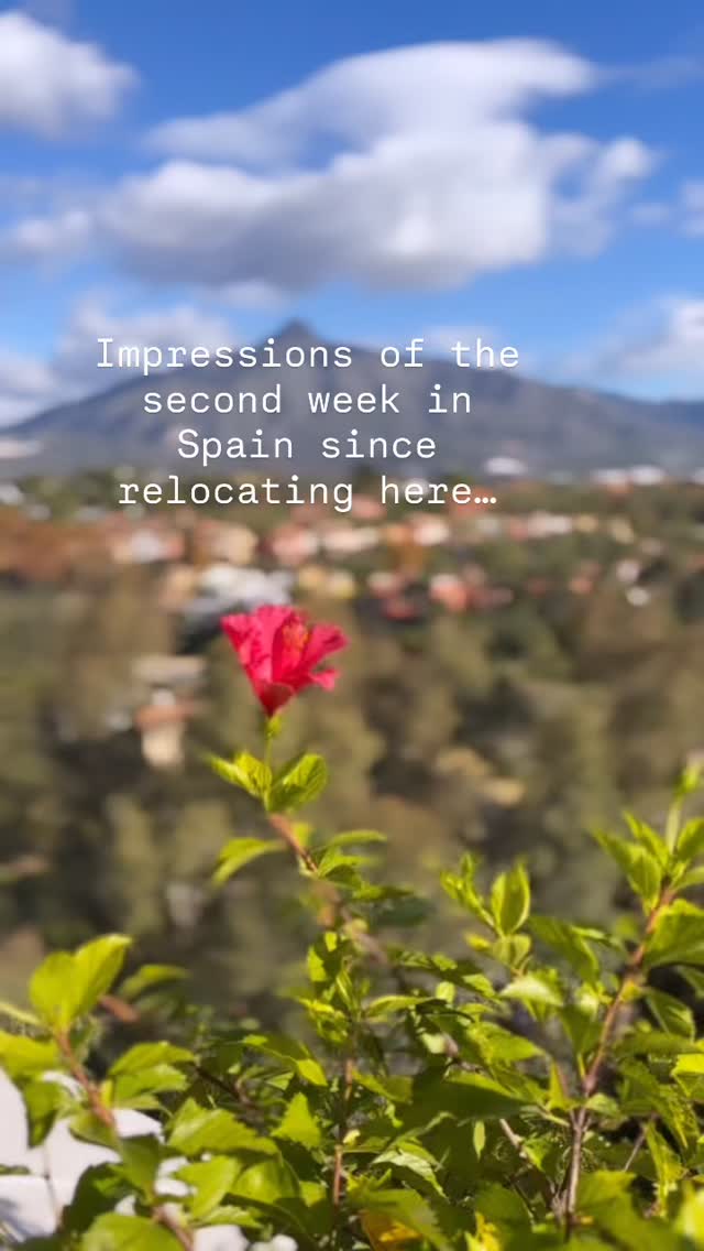 I think when you move to Spain, it’s almost a basic instinct to fall straight into Eat, Pray, Love mode — specifically the “Eat” part. The food is just too good to resist, even when you’re already full. And while we’re definitely not here as tourists (there’s a long to-do list that comes with establishing residency), we’ve still found time to go out, linger over meals, and wander through markets filled with the freshest produce and seafood. The variety alone is almost overwhelming, in the best way. I keep standing there thinking… where do I even start? Which fish do you buy first? #movetospain #spain #malagaspain