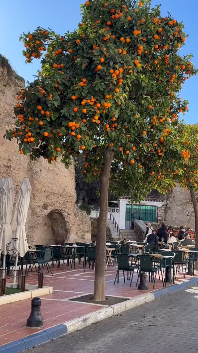 The Marbella fortress and its walls, popularly called “El Castillo” (The Castle), date back to the 10th or 11th century and are a Heritage of Cultural Interes. #spain #travel #movetospain #marbella #malaga