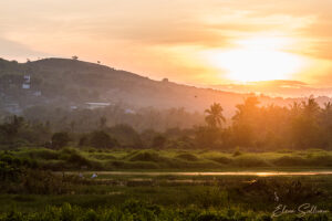 landscape photography elena sullivan