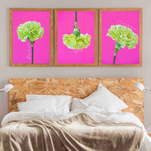 carnation flower pink background photo print wall art