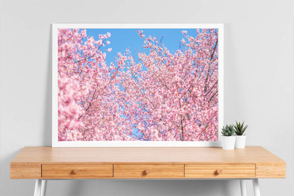 fine art photo print of pink tree