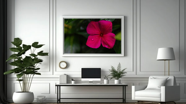 photography art prints flower