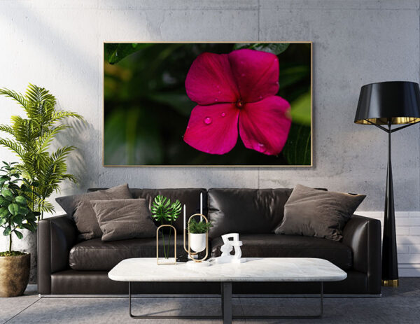 photography art prints for living room