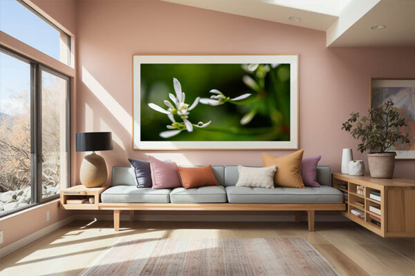 photo nature wall art for living room