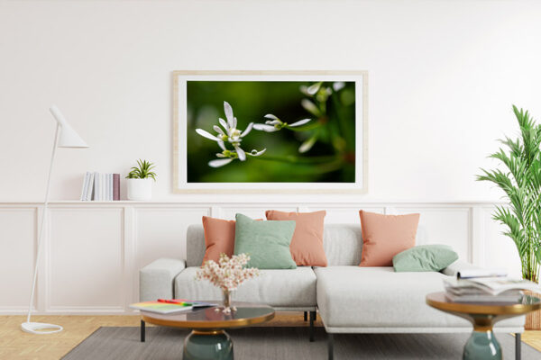 photo print nature wall art for living room