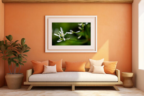 photo print wall art for living room
