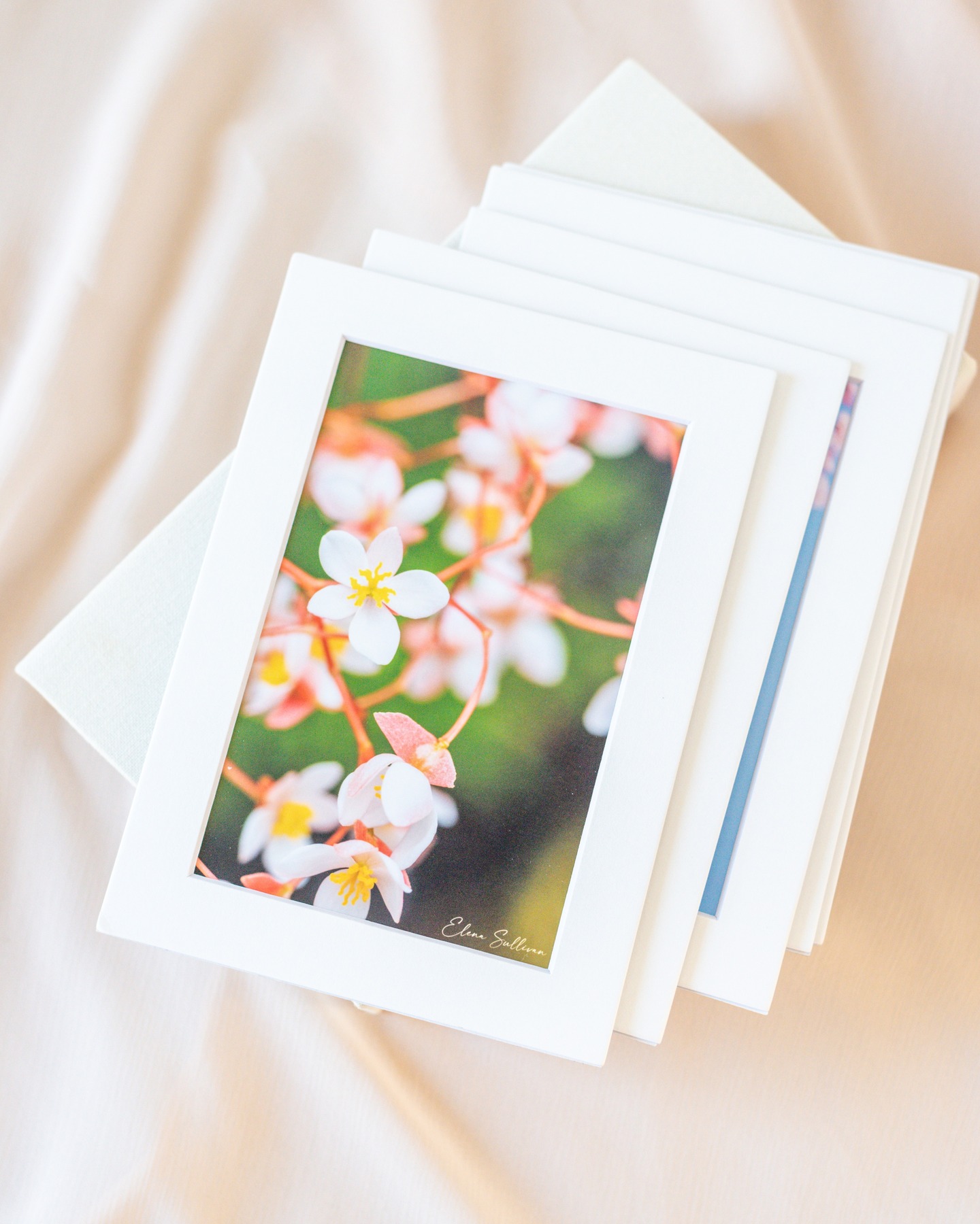 There’s something about nature that instantly calms the mind — the rustle of leaves, the sunlight filtering through trees, the gentle sway of flowers in the breeze. Flowers especially feel like tiny messengers, quietly reminding us to pause, look closer, and appreciate the beauty that’s all around us. They don’t ask for attention, but they always manage to catch your eye — soft little reminders that beauty doesn’t have to shout to be noticed.
.
.
.
.
.
.
#fineartphotographer #photoartist #photoart #interiordesigns #interiorinspo #interiordesigncommunity #fineartphotography #wallartdecor #photoprints #fineartprints #fineartphotoprints #interiordesigninspiration #interiordesignlovers #homestyling #homestyledecor #homedecoration #interiordesign #fineartphotography #fineartphotography #photographyisart #photographylover #wallartprint #artofphotography #photoart #interiordesignphotography #interiordesignblog #interiordesignhome #fineartprints #canvasprinting #metalprint