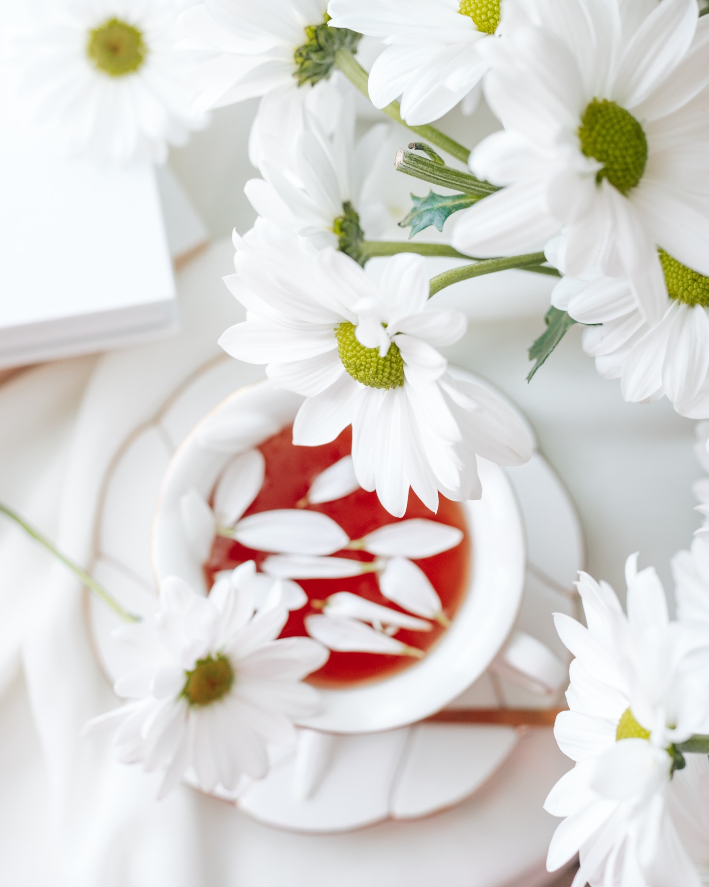 In a world that moves quickly and demands constant attention, there is quiet power in slowing down.
The art of pausing allows us to reconnect with ourselves, notice the beauty around us, and breathe more fully. It’s in these still moments that clarity returns, creativity awakens, and peace gently rises to the surface. A soft breeze, a beam of light, or the white daisies , these quiet details remind us that joy sometimes comes from simply being present.
.
.
.
.
.
#fineartphotographer #photoartist #photoart #relaxation #interiorinspo #interiordesigncommunity #fineartphotography #wallartdecor #photoprints #fineartprints #fineartphotoprints #interiordesigninspiration #interiordesignlovers #homestyling #flowers #homedecoration #interiordesign #fineartphotography #fineartphotography #photographyisart #photographylover #wallartprint #artofphotography #photoart #mindfullness #interiordesignblog #interiordesignhome #fineartprints #canvasprinting #mindfulliving