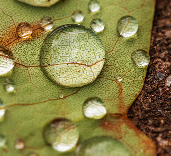 art of noticing