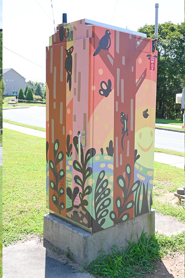  Id-Scott-Road-and-Scott-Road-artist-Catlanta-street-art-atlanta-roswell