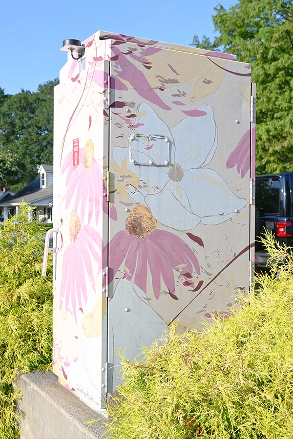 NE-corner-of-Canton-Street-and-Woodstock-artist-Christina-Kwan-utility-box-street-art-roswell-atlanta