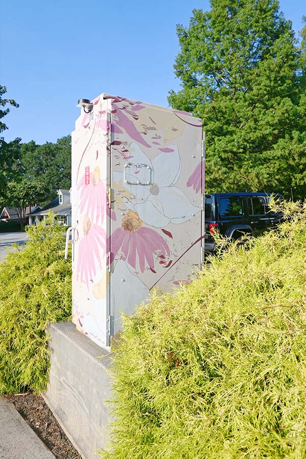 NE-corner-of-Canton-Street-and-Woodstock-artist-Christina-Kwan
