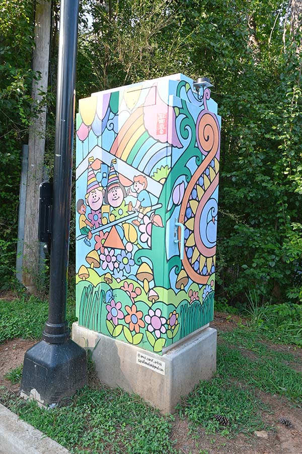 North-Coleman-Road-and-Woodstock-Road-artist-Amol-Saraf-utility-box-art