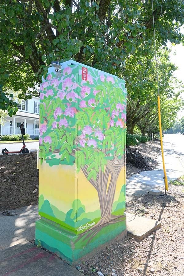 Old-Roswell-Road-and-Warsaw-Road-Jorge-Miguel-Rodriguez-utility-box