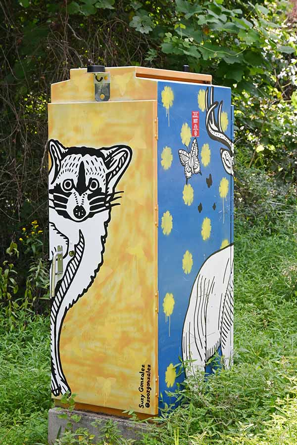Suzy-González-street-art-utility-box-animal-painting-roswell
