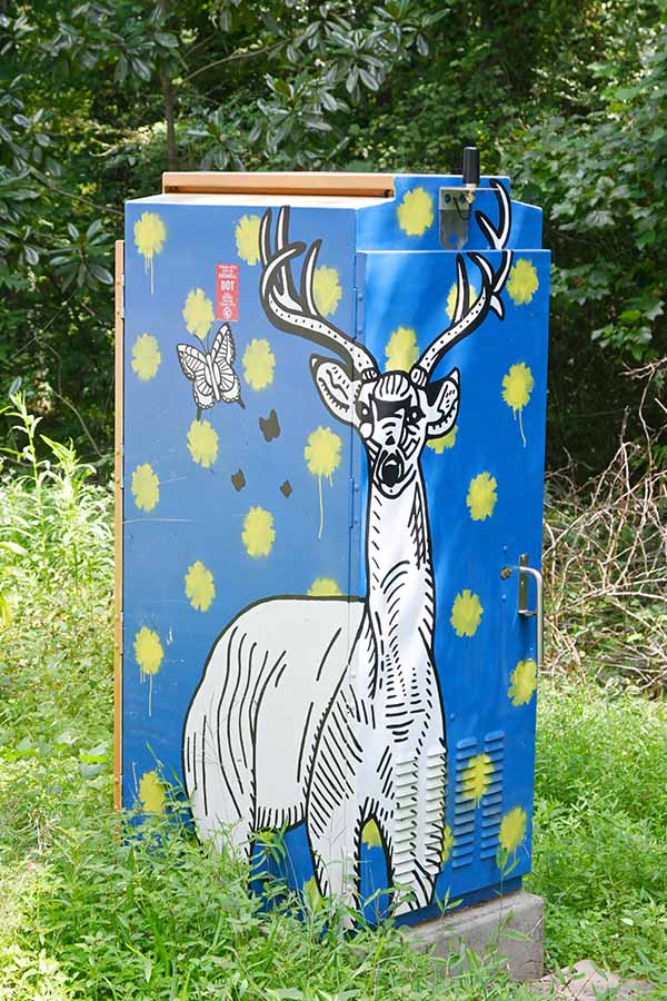 animal-depicted-utility-box-art-street-roswell