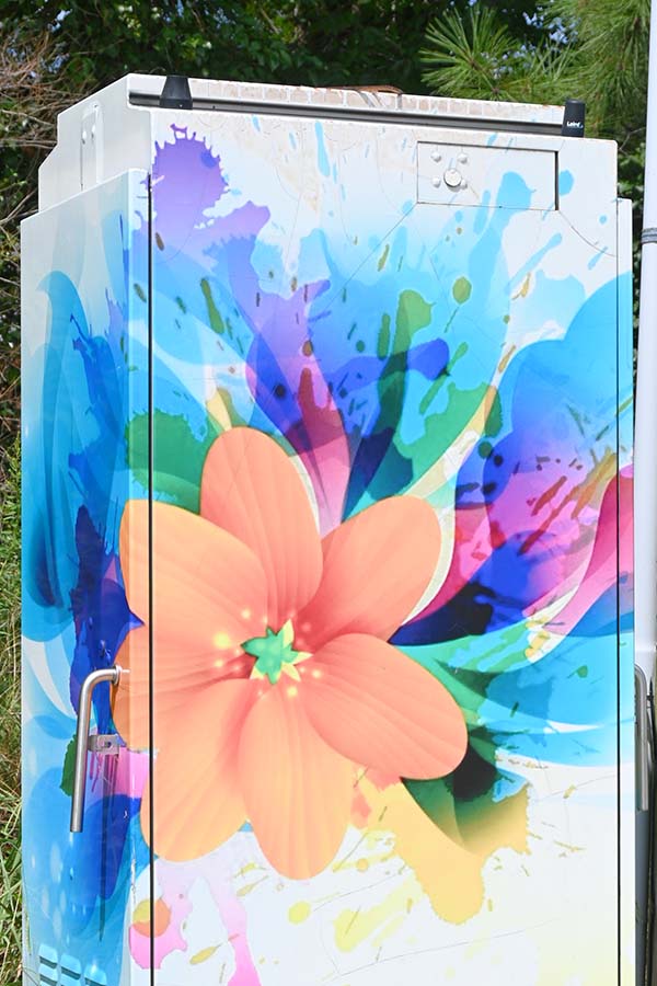 flower-on-utility-box-art-roswell