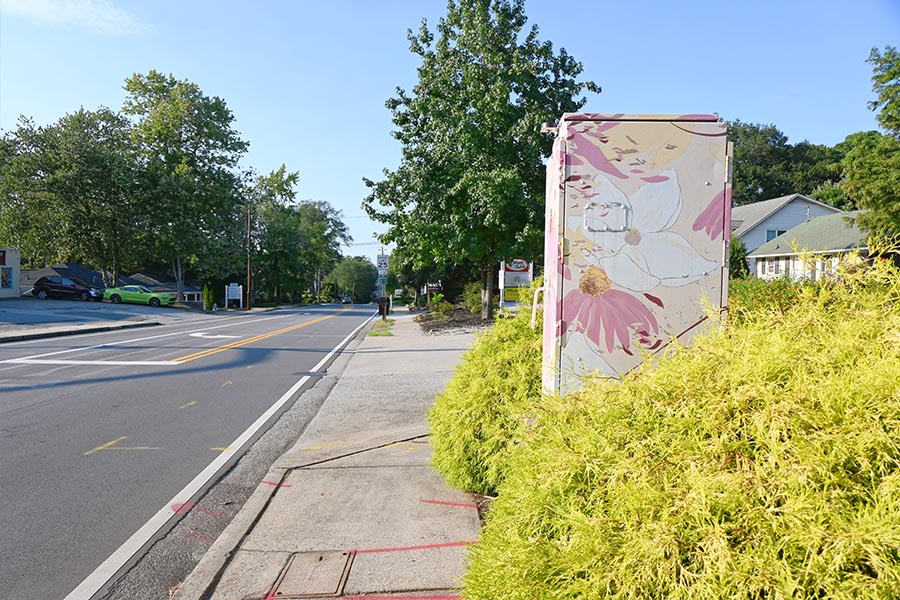flowers-on-utility-box-art