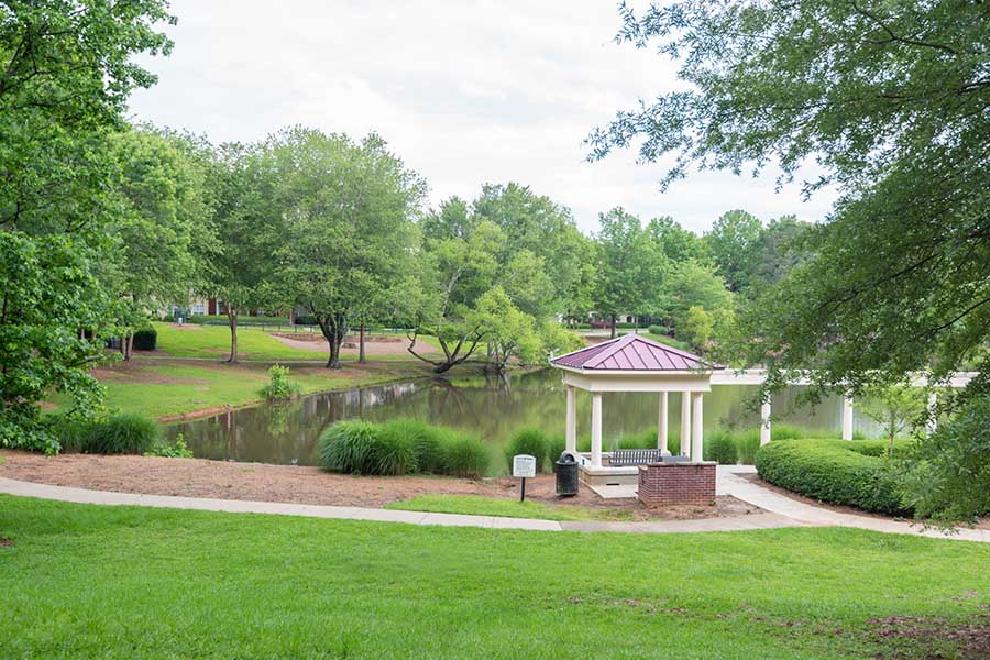mill-creek-pond-alpharetta