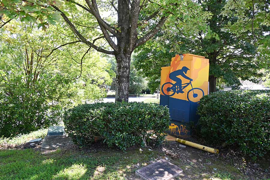 mountain-bike-graffiti-utility-box-street-art-atlanta-roswell
