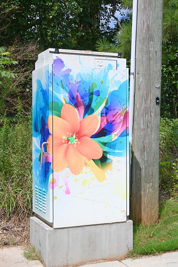 orange-flower-utility-box-art