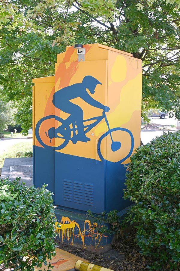 roswell-street-art-utility-boxes