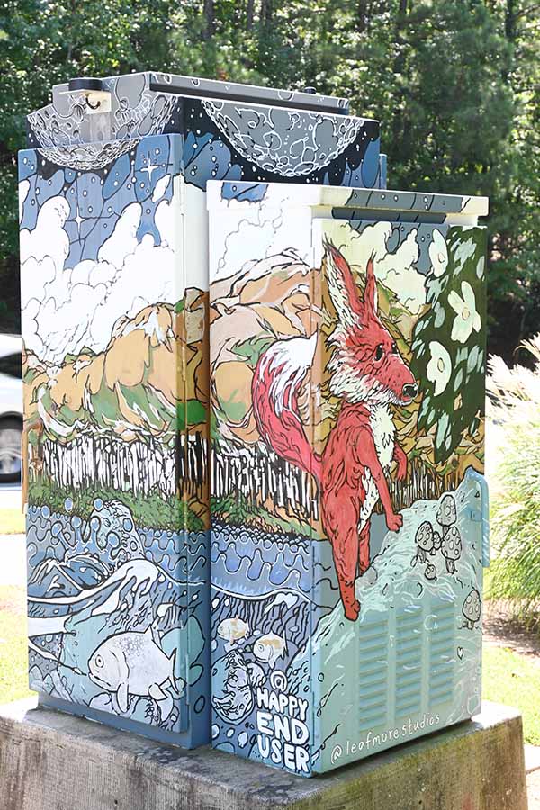street-art-utility-box-georgia-state-usa