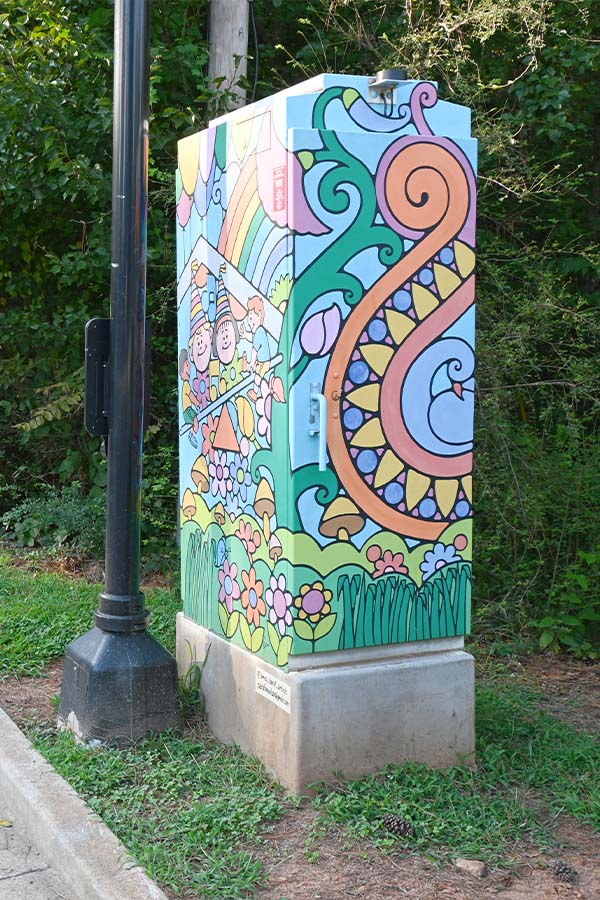utiltiy-box-art-North-Coleman-Road-and-Woodstock-Road-artist-Amol-Saraf 