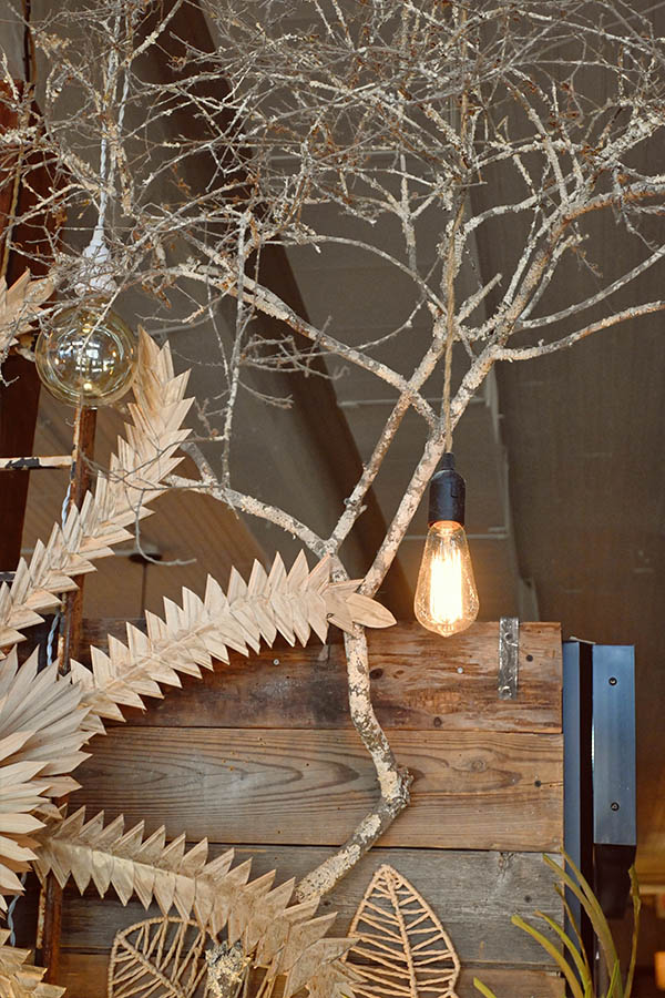 french-decor-decorative-display-featuring-a-collection-of-bare-wooden-branches-with-exposed-filament-lightbulbs-hanging-among-them-and-a-large-dried-palm-leaf-or-fern-next-to-a-wooden-crate-or-box