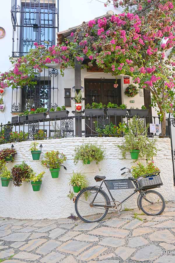 Bicycle-parked-on-a-cobblestone-street-in-front-of-a-white-wall-adorned-with-green-potted-plants