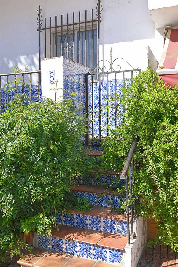 Blue-and-white-tiled-stairs-with-a-black-metal-gate-and-lush-green-bushes