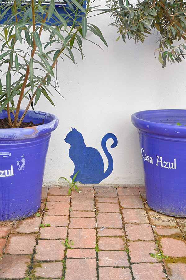 Blue-silhouette-of-a-cat-painted-between-two-large-bright-blue-pots