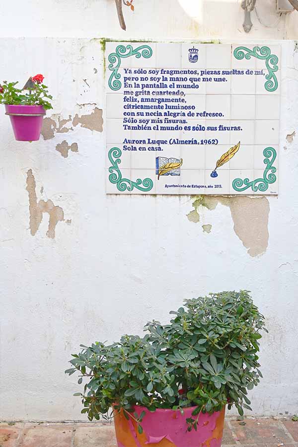 Potted-green-shrub-sits-below-a-white-wall-featuring-a-poetry-tile-plaque-by-Aurora-Luque