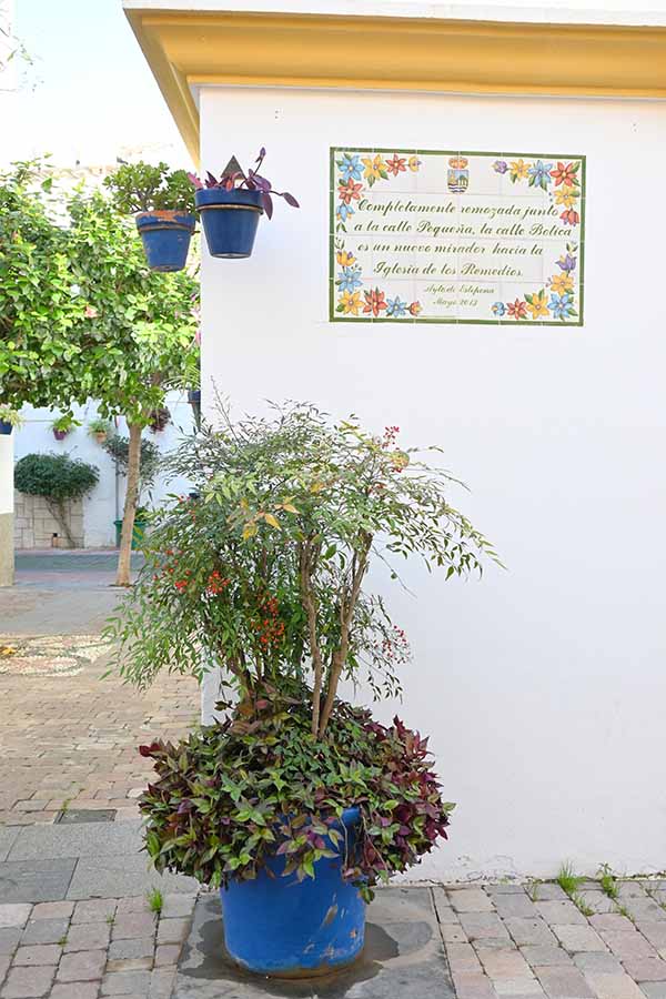 Potted-plant-with-red-berries-sits-below-a-floral-tiled-plaque-on-a-white-wall