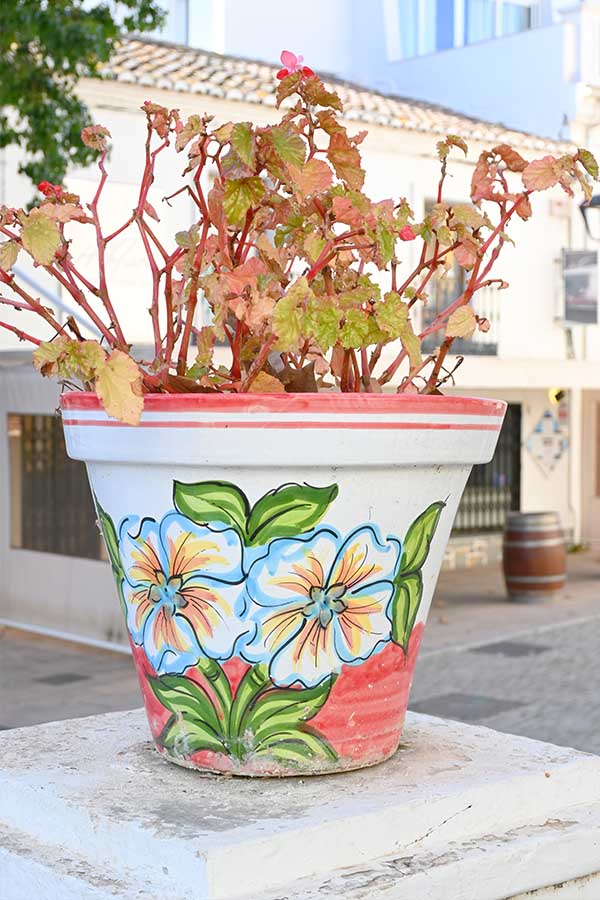 White-ceramic-pot-decorated-with-blue-and-yellow-flower-illustrations-holding-a-plant-on-a-stone-pedestal