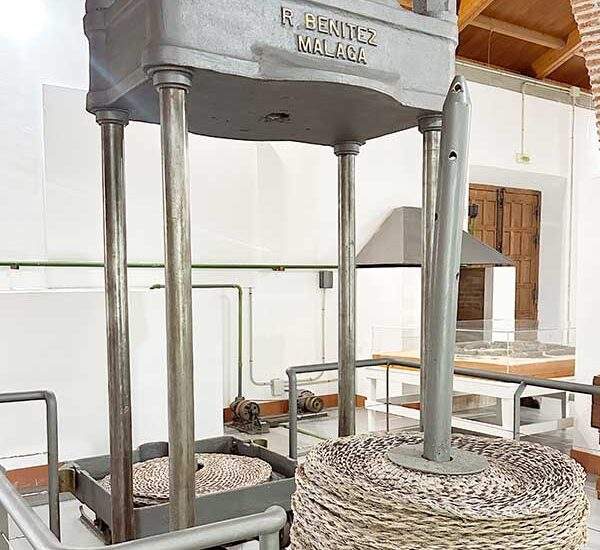 logo-olive-oil-museum