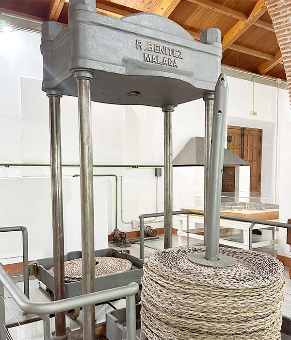 logo-olive-oil-museum