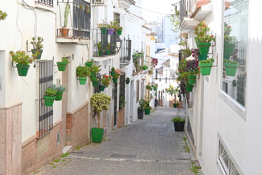 walls-with-flowers-pots-esteponain-spain