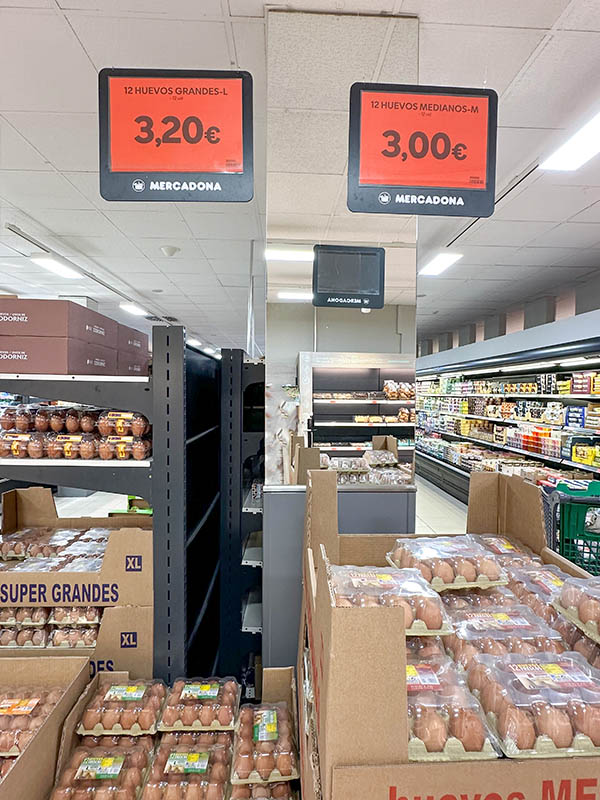 cost-of-food-in-spanish-grocery-store