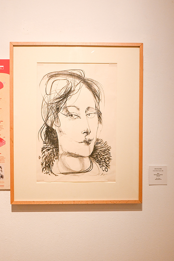 framed-charcoal-portrait-sketch-of-a-woman-with-expressive-lines