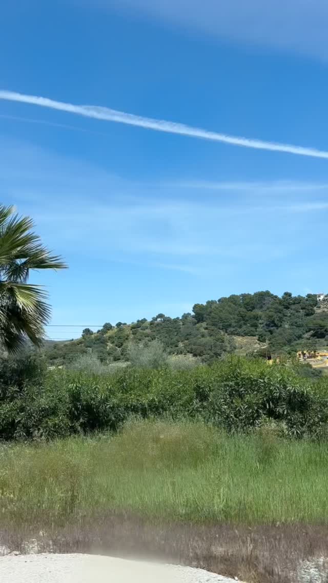 Visited the local cheese market in Coín, Malaga, Spain. It is held every third Sunday from September to May.
It’s one of those authentic spots where you can taste locally made cheeses, chat with producers, and really feel the region through its flavors. Simple, delicious, and definitely worth stopping by if you’re nearby. #spain #travel #foodie #foodlover #cheese