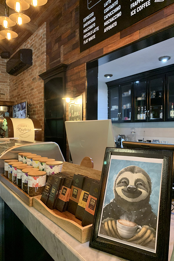 Counter-display-with-sloth-art-and-local-Costa-Rica-chocolate-bars