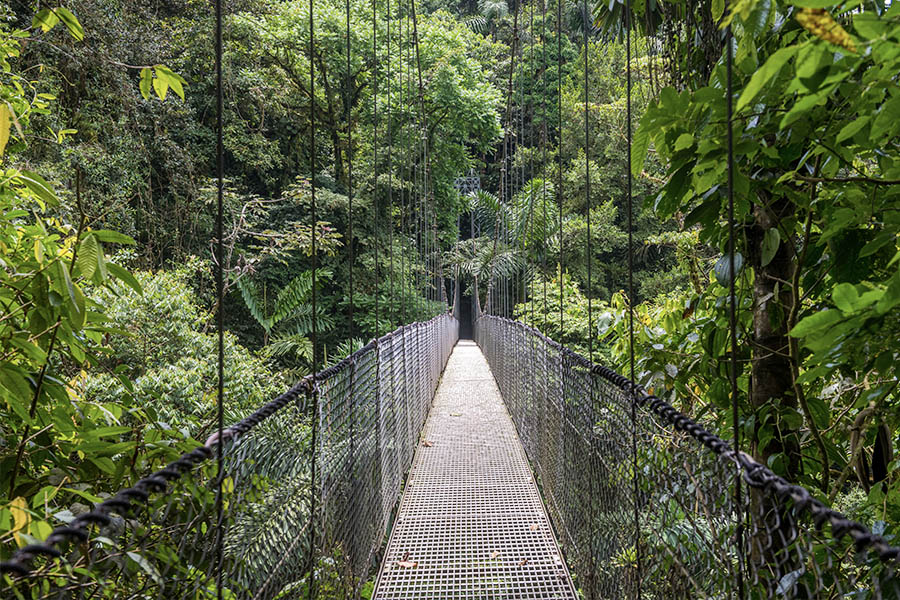 Long-hanging-suspension-bridge-through-the-jungle-in-Costa-Rica