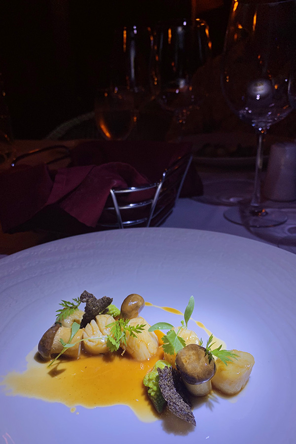 Seared-scallops-artful-plate-arrangement-Costa-Rica-gastronomy