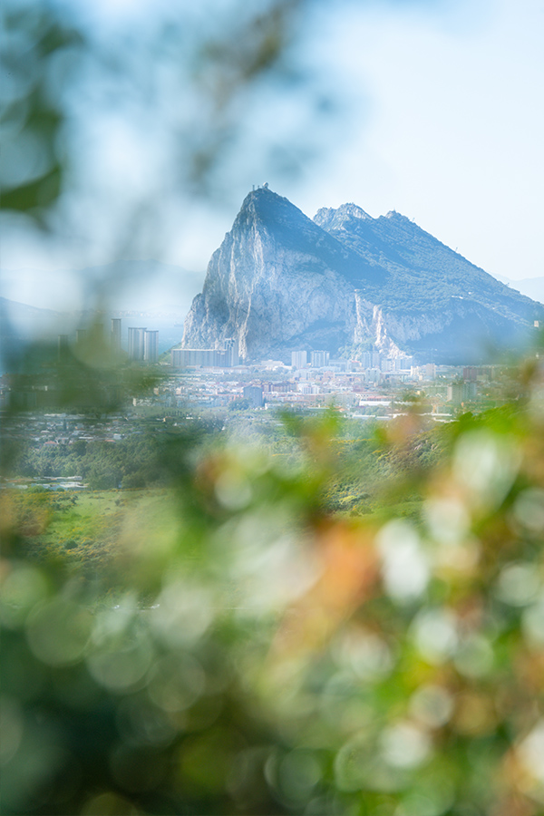 The-Rock-of-Gibraltar-looms-majestically-behind-a-hazy-cityscape-framed-by-blurred-green-foliage