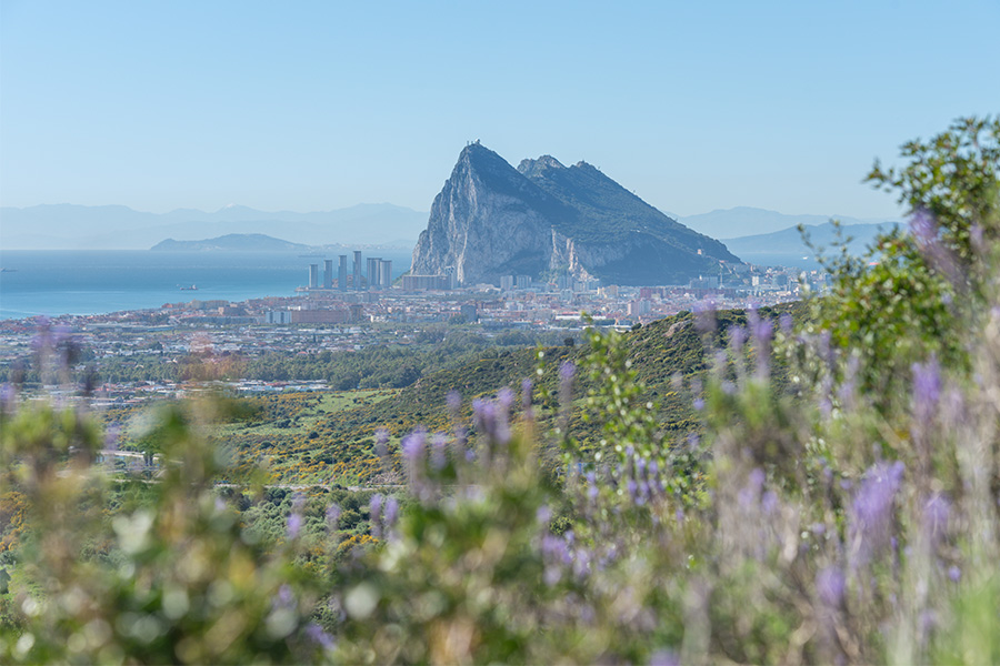 The-Rock-of-Gibraltar-rises-above-the-urban-sprawl-and-surrounding-green-landscape-shot-through-wildflowers
