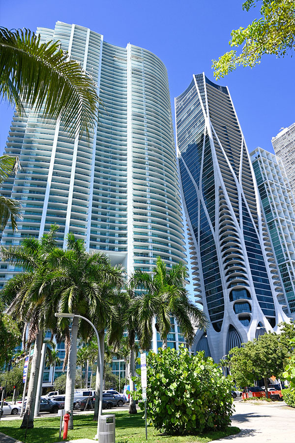 ground-level-showing-large-tropical-leaves-against-a-backlit-wall-of-Miami-Architecture